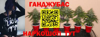 PSILOCYBIN Севастополь